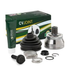 CV0100A CV0100A