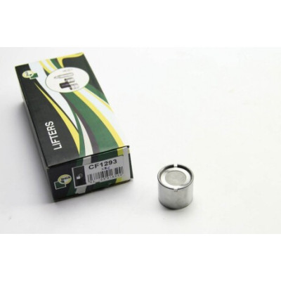 CF1293 CF1293