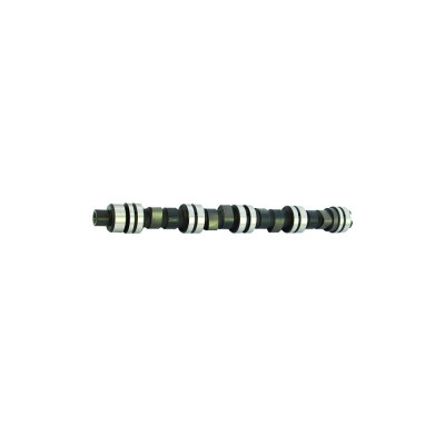 CS6303