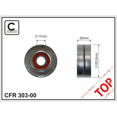 CFR 303-00