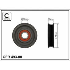 CFR 493-00 CFR 493-00