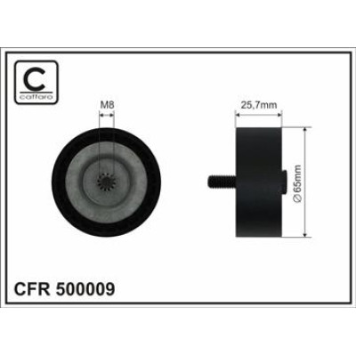 CFR 500009