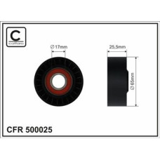 CFR 500025 CFR 500025