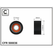 CFR 500036 CFR 500036
