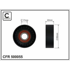 CFR 500055 CFR 500055