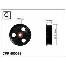 CFR 500066 CFR 500066