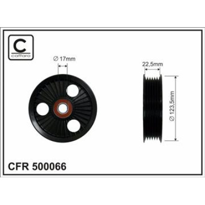 CFR 500066