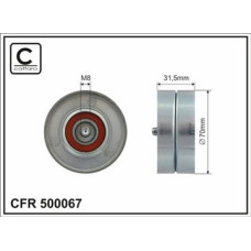 CFR 500067 CFR 500067