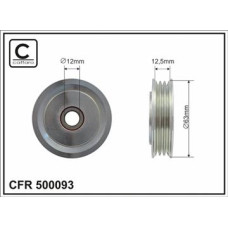 CFR 500093 CFR 500093