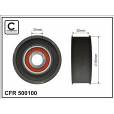 CFR 500100