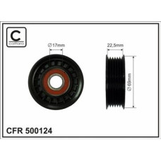 CFR 500124