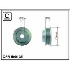 CFR 500135