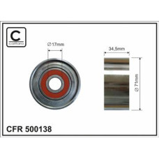 CFR 500138 CFR 500138