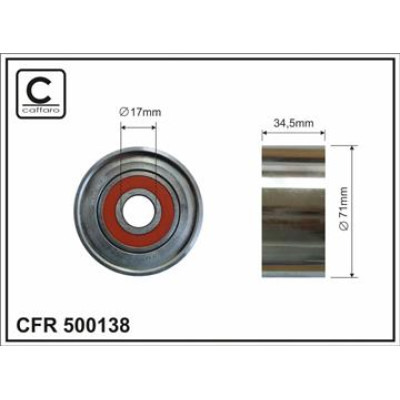 CFR 500138