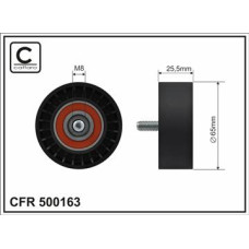 CFR 500163