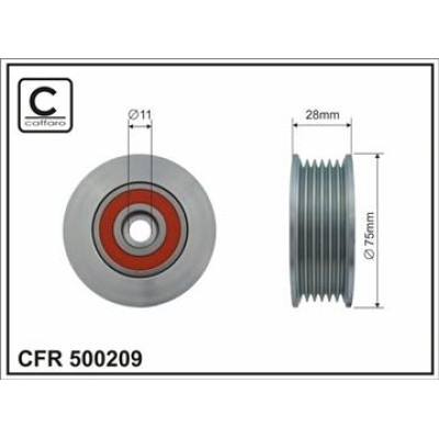 CFR 500209 CFR 500209