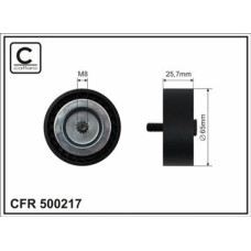 CFR 500217 CFR 500217