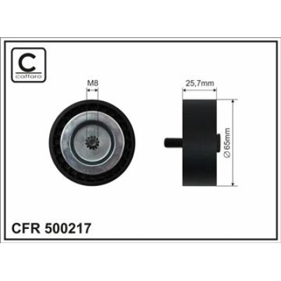 CFR 500217