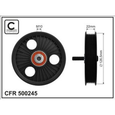 CFR 500245 CFR 500245