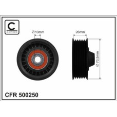 CFR 500250 CFR 500250
