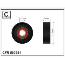 CFR 500251