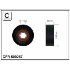 CFR 500257 CFR 500257