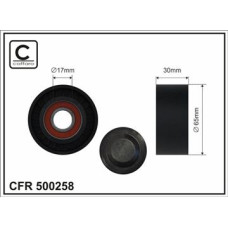CFR 500258 CFR 500258