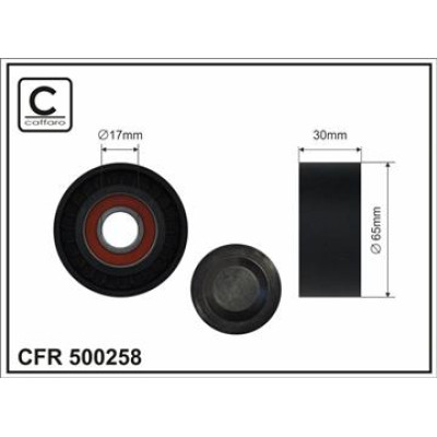 CFR 500258 CFR 500258