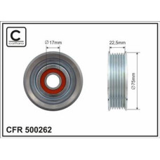CFR 500262 CFR 500262