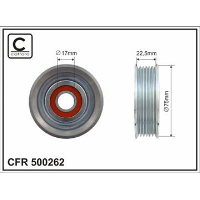 CFR 500262 CFR 500262