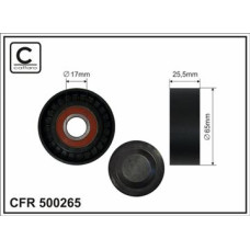 CFR 500265 CFR 500265