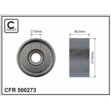 CFR 500273 CFR 500273