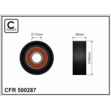 CFR 500287 CFR 500287