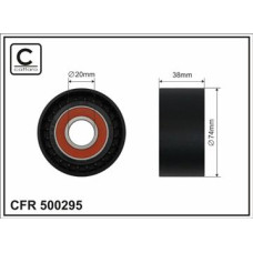 CFR 500295 CFR 500295