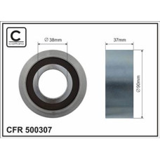 CFR 500307 CFR 500307