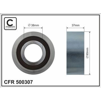 CFR 500307