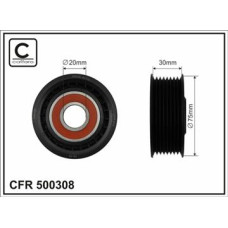 CFR 500308 CFR 500308