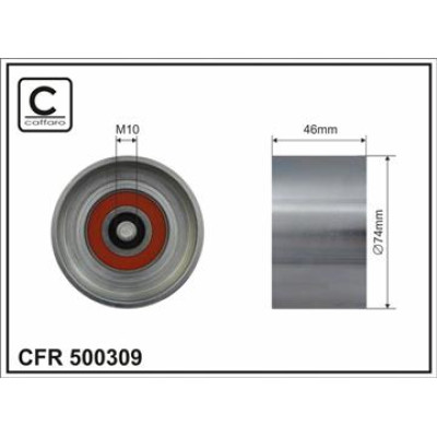 CFR 500309 CFR 500309