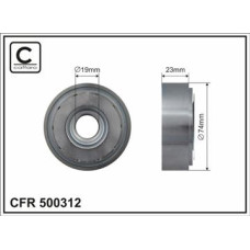 CFR 500312 CFR 500312