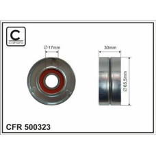 CFR 500323 CFR 500323