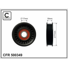 CFR 500349 CFR 500349