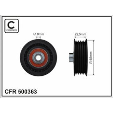 CFR 500363 CFR 500363
