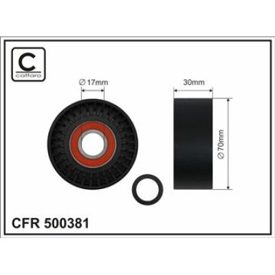 CFR 500381 CFR 500381