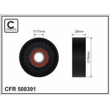 CFR 500391