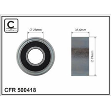 CFR 500418 CFR 500418