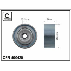 CFR 500420 CFR 500420
