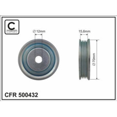 CFR 500432 CFR 500432