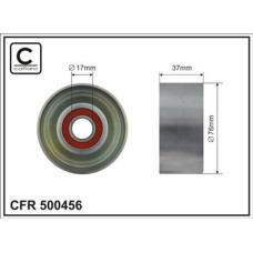 CFR 500456 CFR 500456