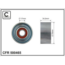 CFR 500465 CFR 500465