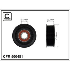 CFR 500481 CFR 500481